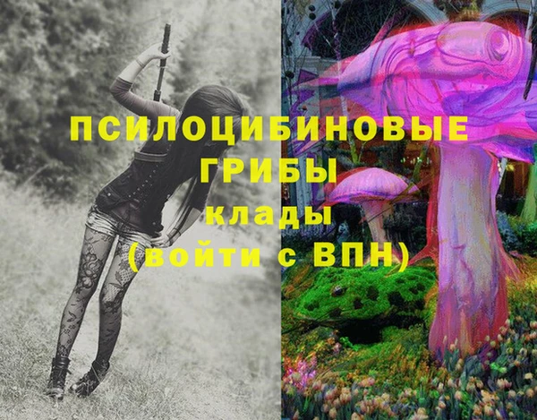 дурь Медвежьегорск