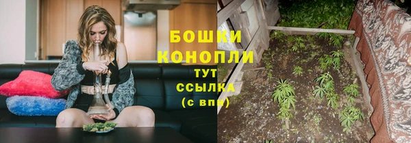 дурь Медвежьегорск