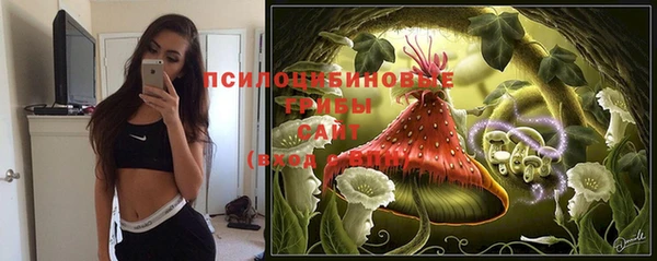 дурь Медвежьегорск